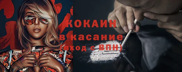 прущие крисы Белокуриха