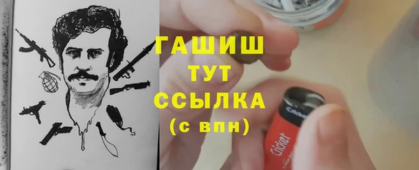 прущие крисы Белокуриха
