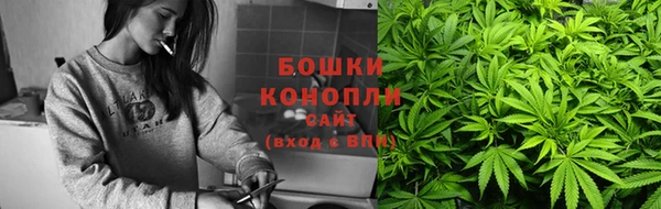 прущие крисы Белокуриха