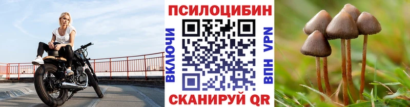 omg ссылка  Усолье-Сибирское  Псилоцибиновые грибы прущие грибы 